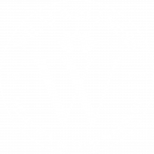 Wilai Wellness Logo White New